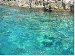 sea