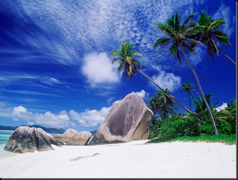 landscapes_desktop_wallpaper-171903palm_tree_beach
