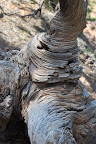 Monument Valley, Jimmy på fløjte 024.jpg