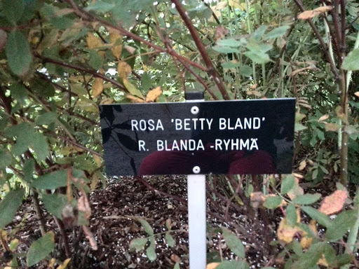 Rosa Betty Bland