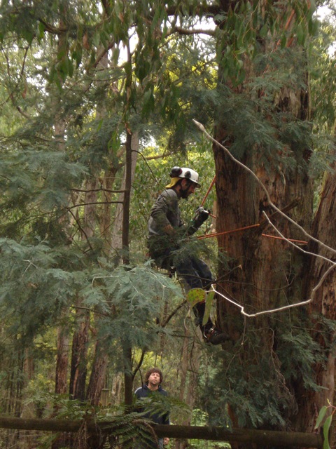 [09-09-08 080003[3].jpg]