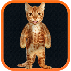 Real Talking Cat.apk 2.1
