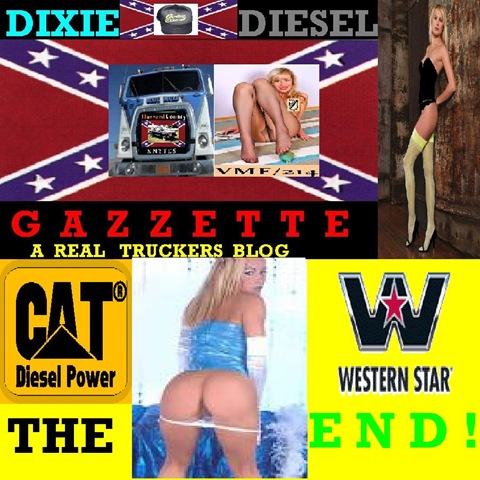 [DXEDSL GAZZETTE TAIL[3].jpg]