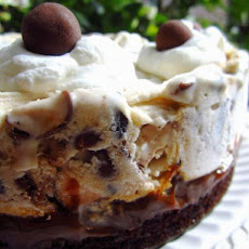 Chocolate Malt Ice-Cream Cake