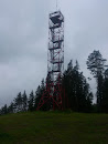 Valgehobusemäe Vaatetorn