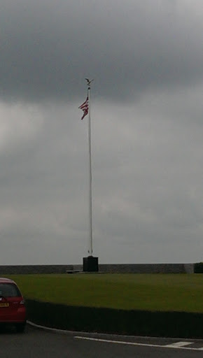 Memorial Flag and Eagle 