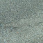 Lizardfish