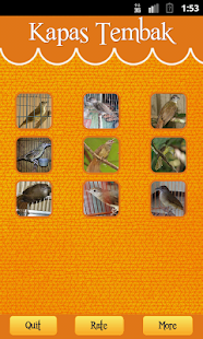 How to mod Grey-cheeked Bulbul 1.1 apk for pc