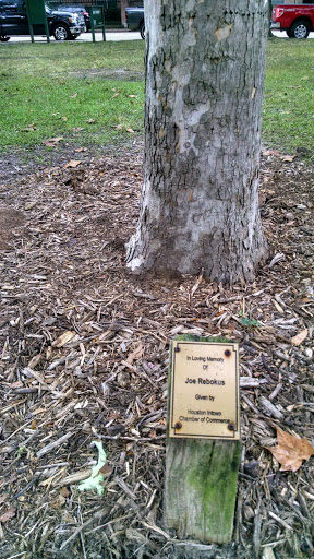 Joe Rebokus Memorial Tree