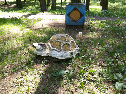Черепаха в парке