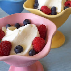 Tart n’ Tangy Frozen Yogurt