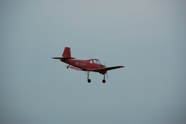 DSC_4736.JPG