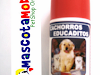 Eduque Su Cachorro  No Mas Pipi En Casa