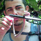 Alonso Garcia