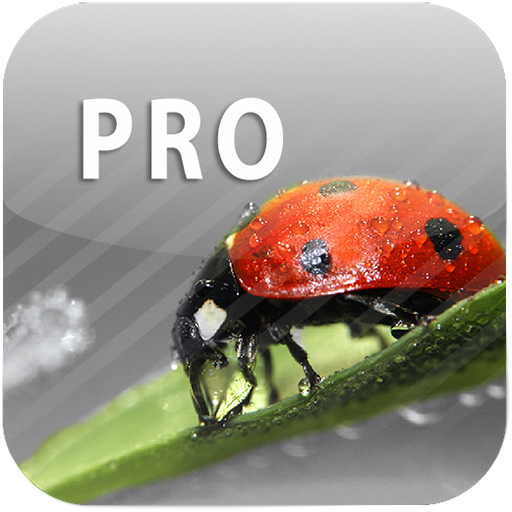 ColorUp Pro - Photo Editor 攝影 App LOGO-APP開箱王