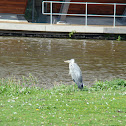 Unnamed spotting