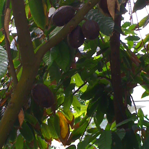 Spotting Image 1