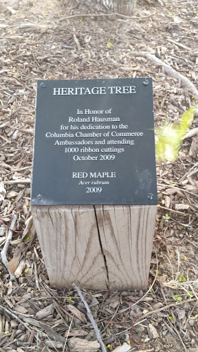 Roland Hausman Heritage Red Maple