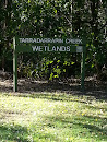 Tarradarrapin Creek Wetlands