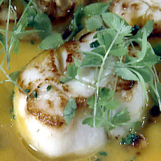Seared Scallops with Pumpkin Broth and Roasted Hazelnuts