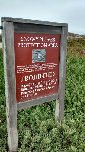 Snowy Plover Protection Area