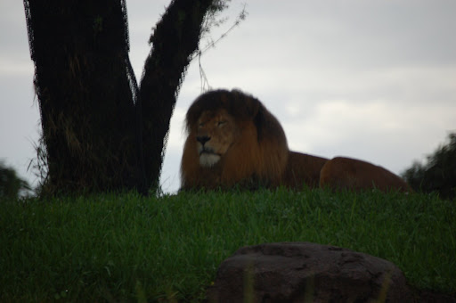 DSC_0669%20%283%29.JPG