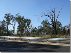 2008_0408australie0079
