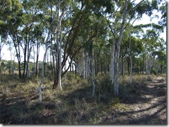 2008_0408australie0083