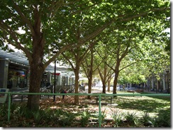 2008_0408australie0056