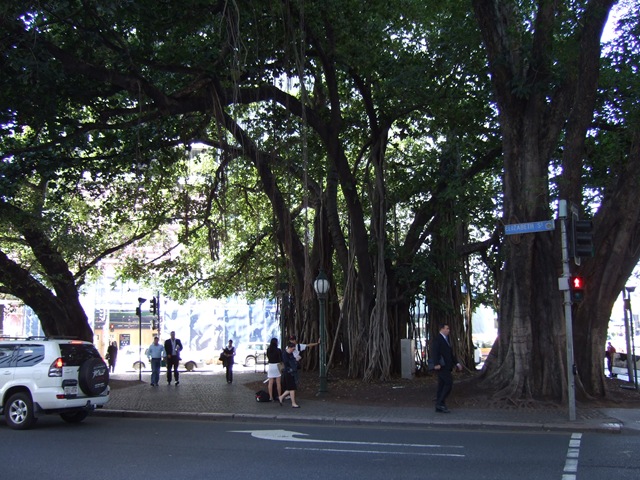 [2008_0505austraaaayngg0014[2].jpg]