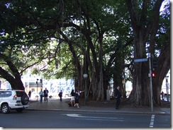 2008_0505austraaaayngg0014