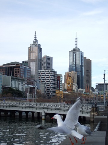 [2008_0806melbourne20067[3].jpg]
