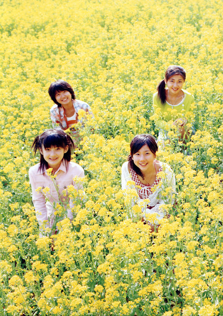 Japanese idols Summer seasonz season69.jpg