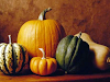 El Magnetismo Y Las Bondades De Las Calabazas