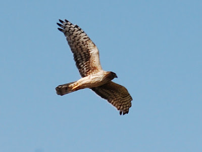 Help Image 1