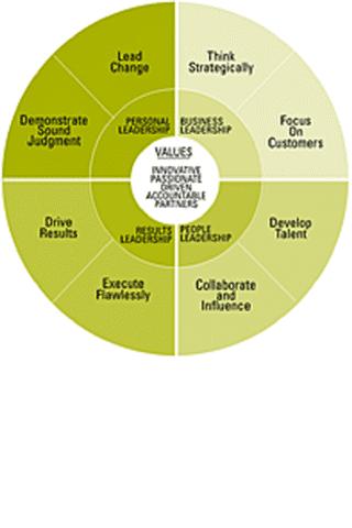 MSI Leadership Model