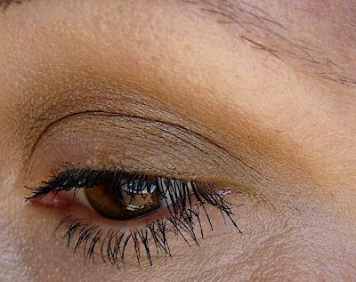 Clinique matte eyeshadows for fall 2008