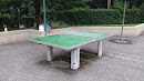 Table De Ping-Pong