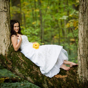 by Jamie Weiss - Wedding Bride ( bride in tree )