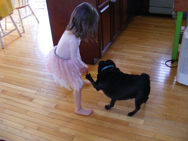 [Ella and Bosco5[3].jpg]