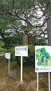 西蹊公園 Seikei Park