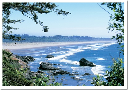02.ClamBeach
