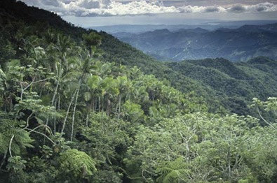 [100275-004-025E9018[10].jpg]