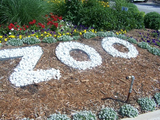 [zoo[3].jpg]