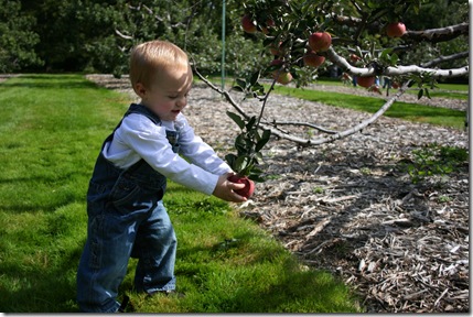 applewood2