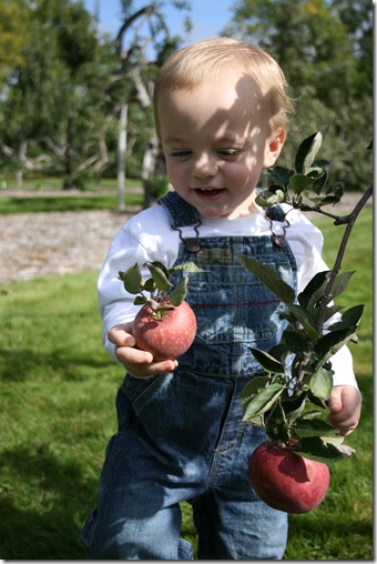 applewood4