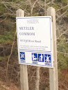 Metzler Common