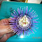 Passion fruit flower