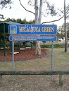 Melaleuca Green