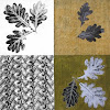 Oak leafs